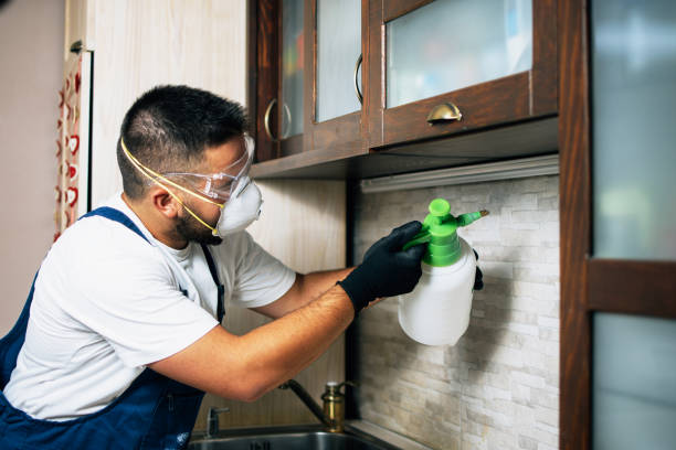Best Pest Control Near Me in Fairland, OK