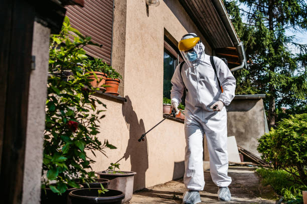 Best Termite Control Services  in Fairland, OK