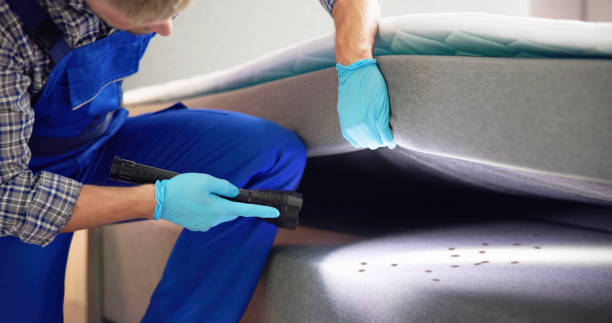 Best Mosquito Control Services  in Fairland, OK