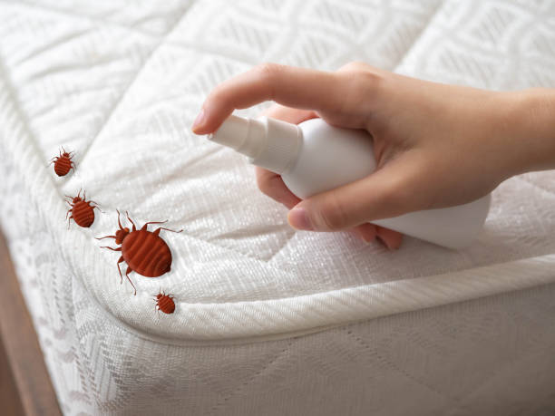 Best Pest Control Near Me  in Fairland, OK