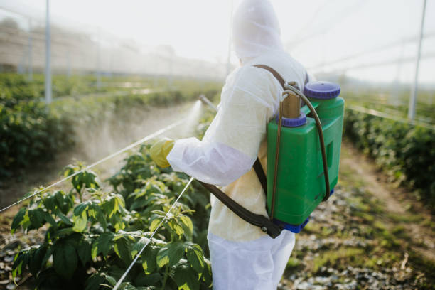Best Pest Inspection Near Me  in Fairland, OK